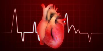 Protect Your Heart With D-Ribose Powder | Victoria Health